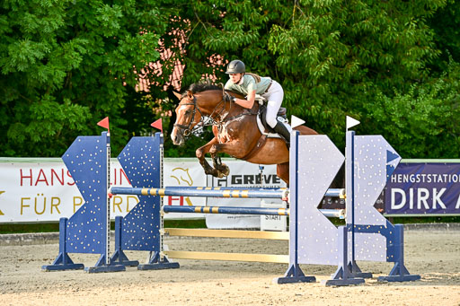 Show Jumping Event Stall Leichle in Schnarup | 140825 Amateur M+ _098 