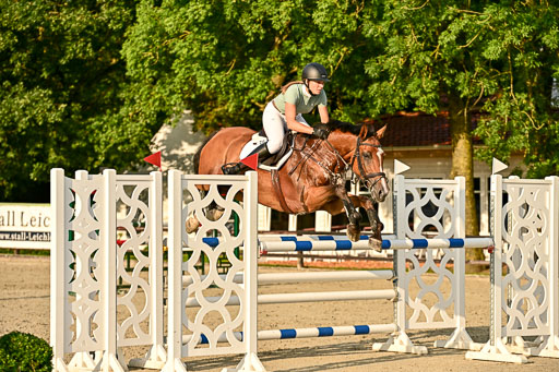 Show Jumping Event Stall Leichle in Schnarup | 140825 Amateur M+ _101 