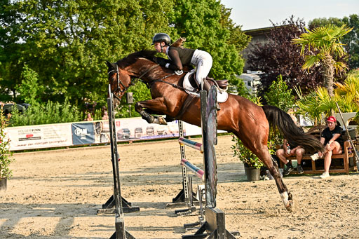 Show Jumping Event Stall Leichle in Schnarup | 140825 Amateur M+ _114 