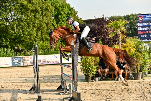 Show Jumping Event Stall Leichle in Schnarup | 140825 Amateur M+ _118 