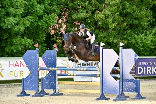Show Jumping Event Stall Leichle in Schnarup | 140825 Amateur M+ _120 