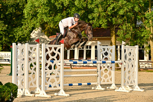 Show Jumping Event Stall Leichle in Schnarup | 140825 Amateur M+ _131 
