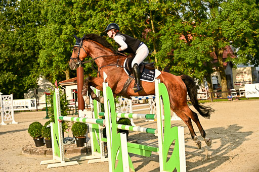 Show Jumping Event Stall Leichle in Schnarup | 140825 Amateur M+ _139 
