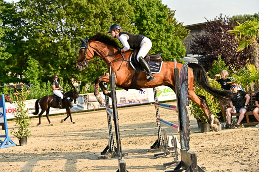 Show Jumping Event Stall Leichle in Schnarup | 140825 Amateur M+ _143 