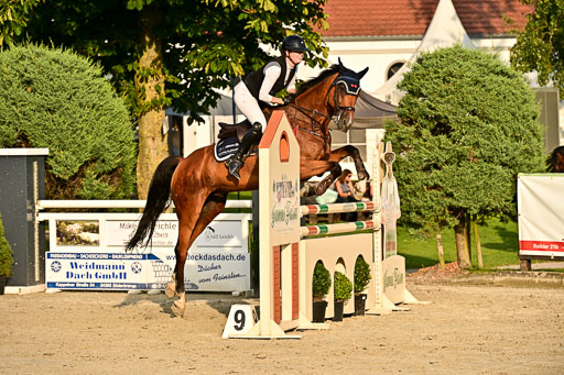 Show Jumping Event Stall Leichle in Schnarup | 140825 Amateur M+ _145 