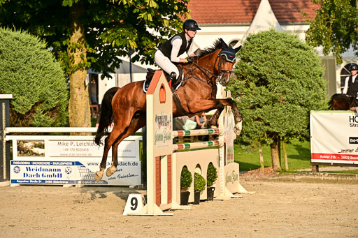 Show Jumping Event Stall Leichle in Schnarup | 140825 Amateur M+ _146 
