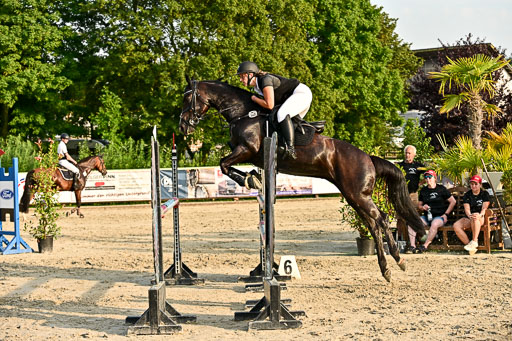 Show Jumping Event Stall Leichle in Schnarup | 140825 Amateur M+ _149 