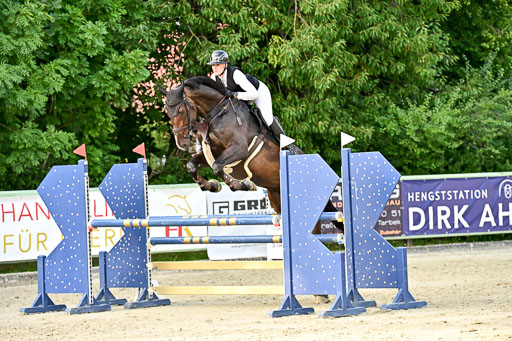Show Jumping Event Stall Leichle in Schnarup | 140825 Amateur M+ _153 