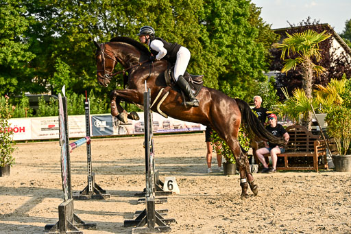 Show Jumping Event Stall Leichle in Schnarup | 140825 Amateur M+ _158 