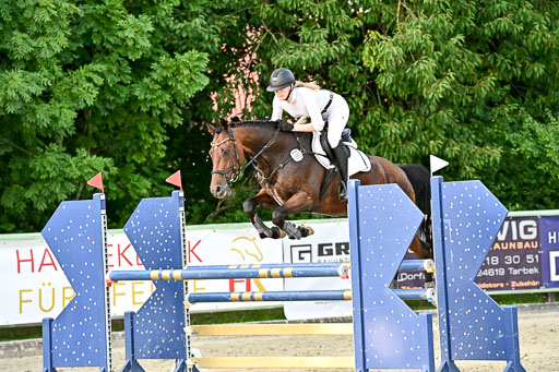 Show Jumping Event Stall Leichle in Schnarup | 140825 Amateur M+ _160 