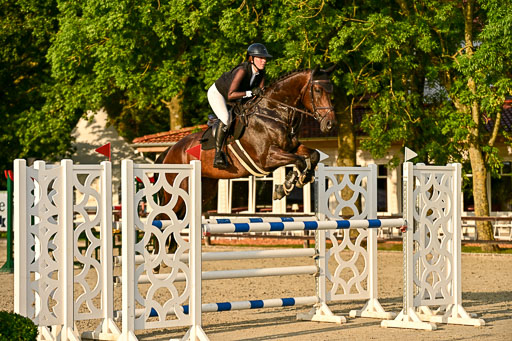 Show Jumping Event Stall Leichle in Schnarup | 140825 Amateur M+ _163 