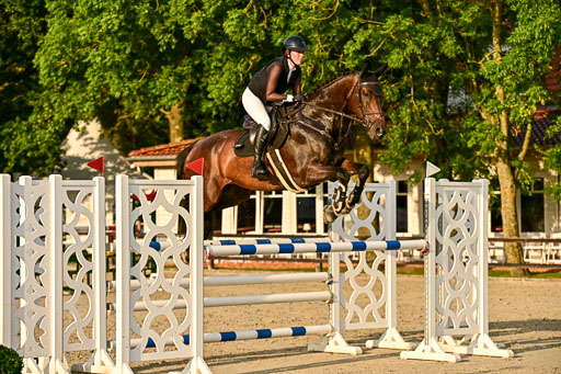 Show Jumping Event Stall Leichle in Schnarup | 140825 Amateur M+ _164 