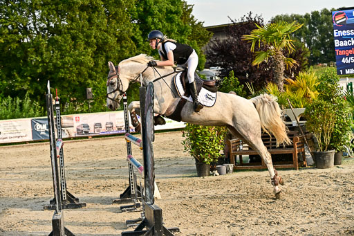 Show Jumping Event Stall Leichle in Schnarup | 140825 Amateur M+ _171 