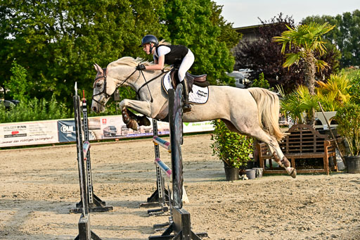 Show Jumping Event Stall Leichle in Schnarup | 140825 Amateur M+ _172 
