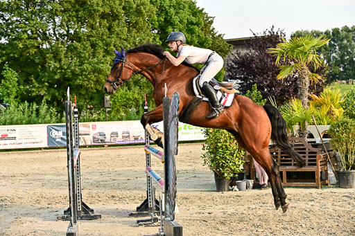 Show Jumping Event Stall Leichle in Schnarup | 140825 Amateur M+ _177 