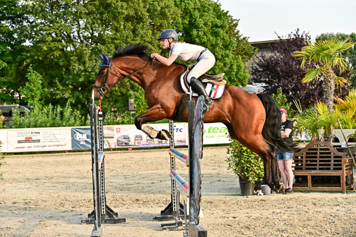 Show Jumping Event Stall Leichle in Schnarup | 140825 Amateur M+ _178 