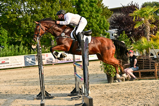 Show Jumping Event Stall Leichle in Schnarup | 140825 Amateur M+ _183 