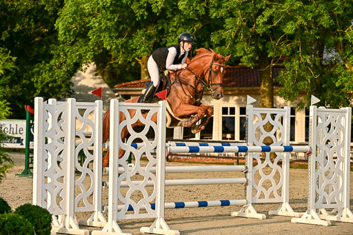 Show Jumping Event Stall Leichle in Schnarup | 140825 Amateur M+ _185 