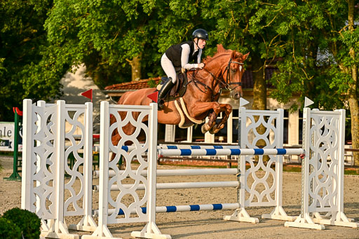 Show Jumping Event Stall Leichle in Schnarup | 140825 Amateur M+ _186 