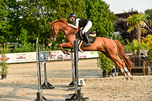 Show Jumping Event Stall Leichle in Schnarup | 140825 Amateur M+ _188 
