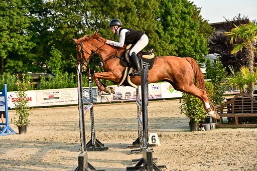 Show Jumping Event Stall Leichle in Schnarup | 140825 Amateur M+ _189 