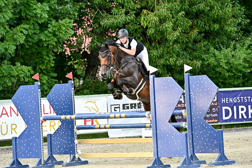 Show Jumping Event Stall Leichle in Schnarup | 140825 Amateur M+ _190 
