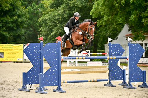 Show Jumping Event Stall Leichle in Schnarup | 15082025 KL M ++ FR _038 