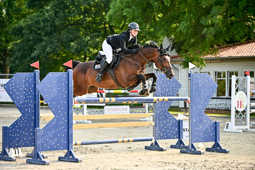 Show Jumping Event Stall Leichle in Schnarup | 15082025 KL M ++ FR _095 