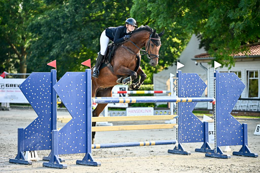 Show Jumping Event Stall Leichle in Schnarup | 15082025 KL M ++ FR _098 