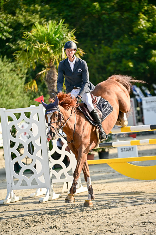 Show Jumping Event Stall Leichle in Schnarup | 15082025 KL M ++ FR _102 