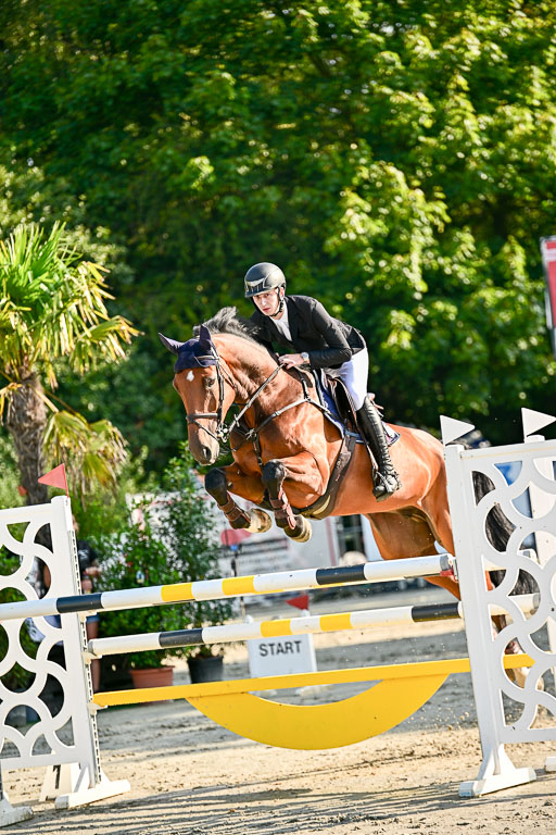 Show Jumping Event Stall Leichle in Schnarup | 15082025 KL M ++ FR _116 