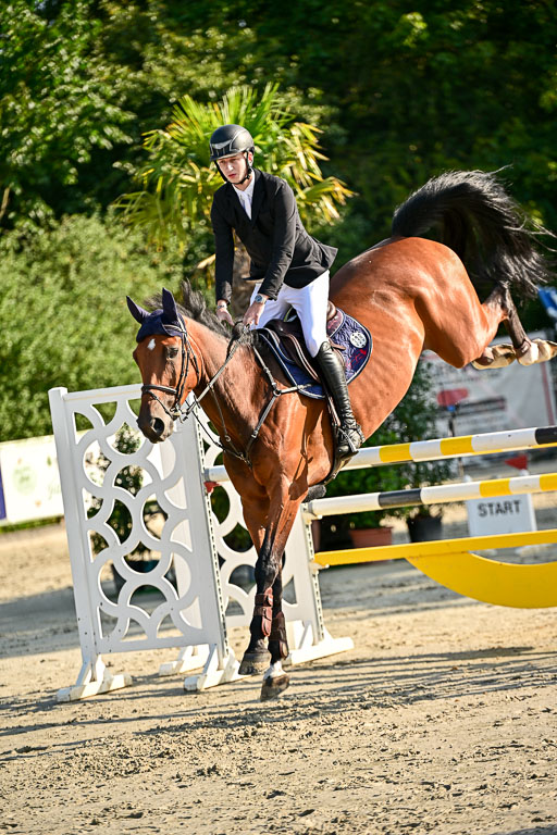Show Jumping Event Stall Leichle in Schnarup | 15082025 KL M ++ FR _117 