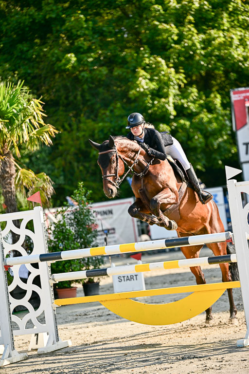 Show Jumping Event Stall Leichle in Schnarup | 15082025 KL M ++ FR _119 