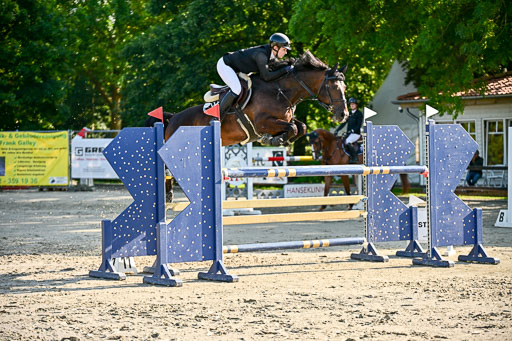 Show Jumping Event Stall Leichle in Schnarup | 15082025 KL M ++ FR _125 