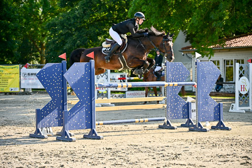 Show Jumping Event Stall Leichle in Schnarup | 15082025 KL M ++ FR _126 