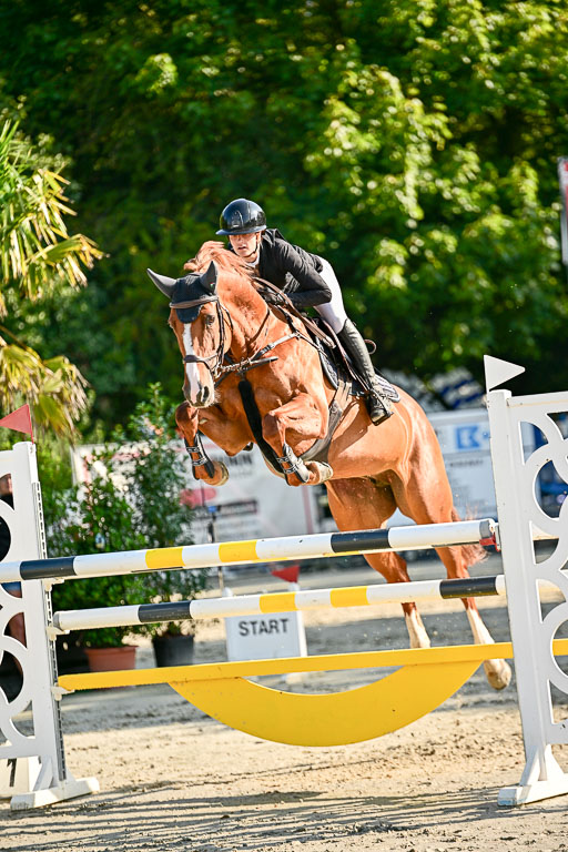 Show Jumping Event Stall Leichle in Schnarup | 15082025 KL M ++ FR _127 