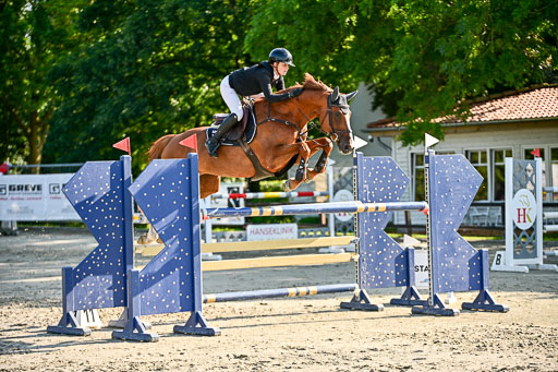 Show Jumping Event Stall Leichle in Schnarup | 15082025 KL M ++ FR _131 