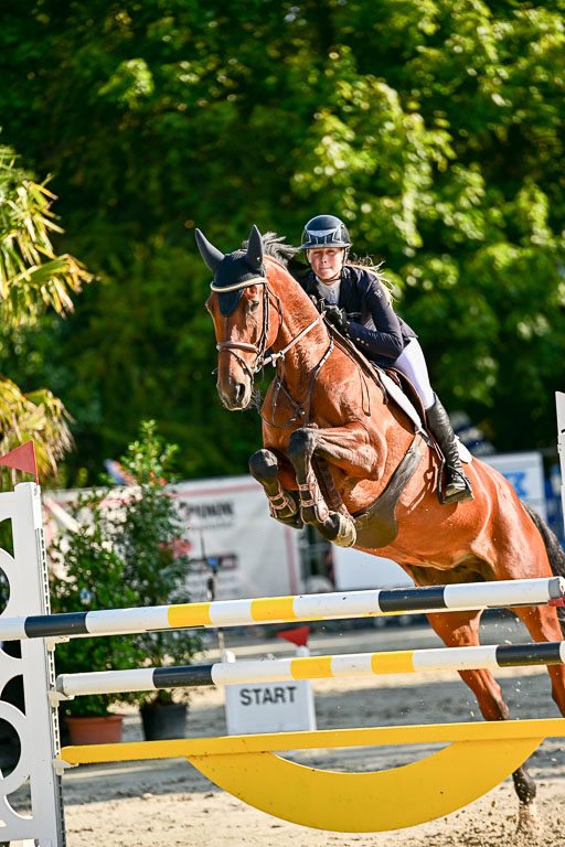 Show Jumping Event Stall Leichle in Schnarup | 15082025 KL M ++ FR _140 