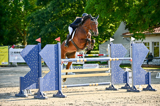 Show Jumping Event Stall Leichle in Schnarup | 15082025 KL M ++ FR _145 