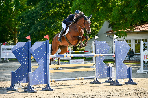 Show Jumping Event Stall Leichle in Schnarup | 15082025 KL M ++ FR _146 