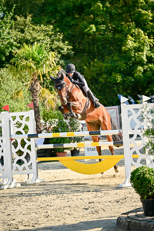 Show Jumping Event Stall Leichle in Schnarup | 15082025 KL M ++ FR _147 