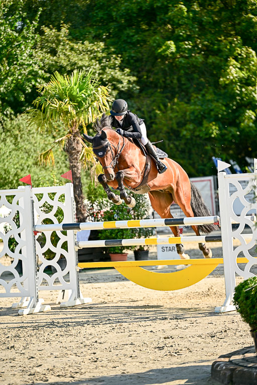 Show Jumping Event Stall Leichle in Schnarup | 15082025 KL M ++ FR _148 