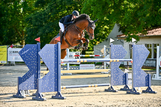 Show Jumping Event Stall Leichle in Schnarup | 15082025 KL M ++ FR _149 