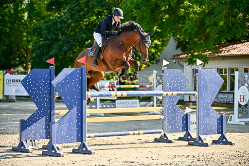 Show Jumping Event Stall Leichle in Schnarup | 15082025 KL M ++ FR _150 