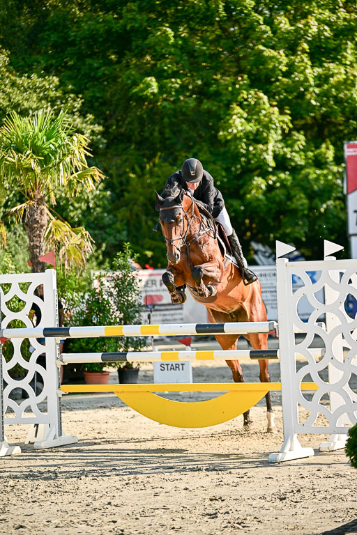 Show Jumping Event Stall Leichle in Schnarup | 15082025 KL M ++ FR _151 