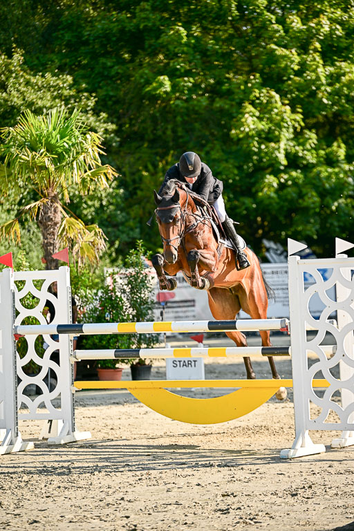 Show Jumping Event Stall Leichle in Schnarup | 15082025 KL M ++ FR _152 