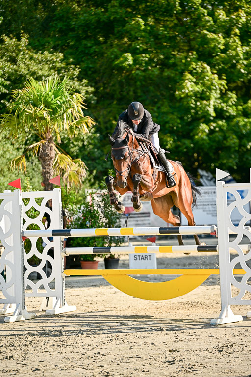 Show Jumping Event Stall Leichle in Schnarup | 15082025 KL M ++ FR _153 