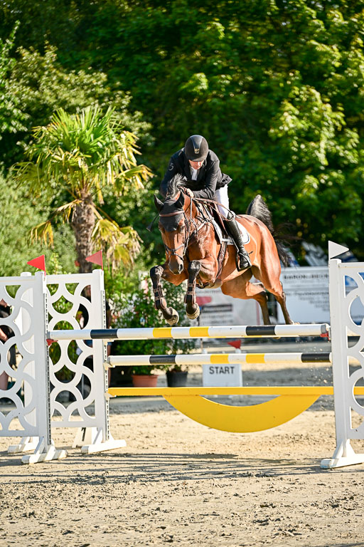 Show Jumping Event Stall Leichle in Schnarup | 15082025 KL M ++ FR _154 