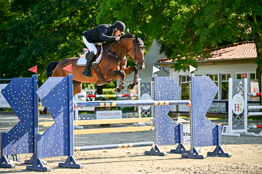 Show Jumping Event Stall Leichle in Schnarup | 15082025 KL M ++ FR _158 