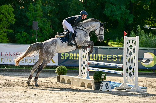 Show Jumping Event Stall Leichle in Schnarup | 15082025 KL M ++ FR _160 